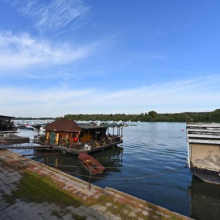 Hidden Gem Daire Belgrad Dış mekan fotoğraf