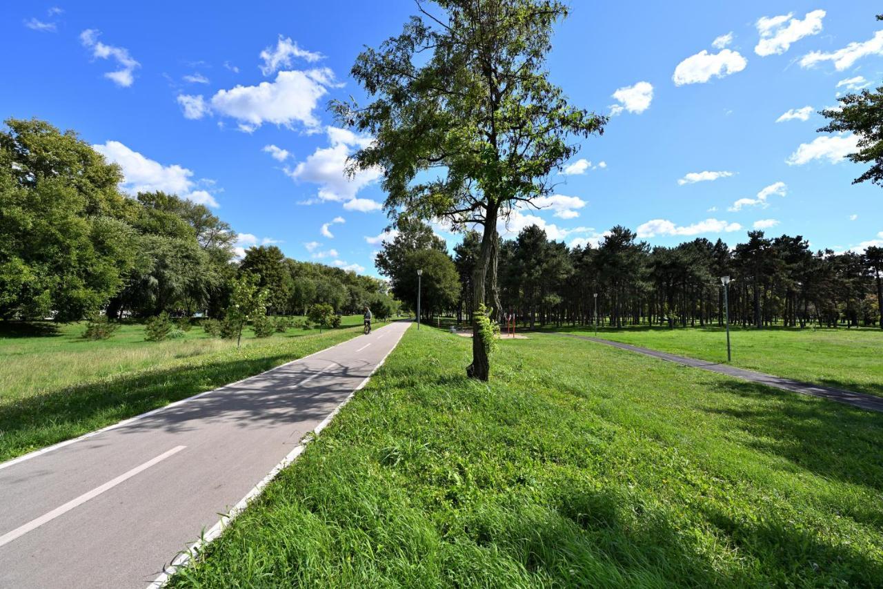 Hidden Gem Daire Belgrad Dış mekan fotoğraf